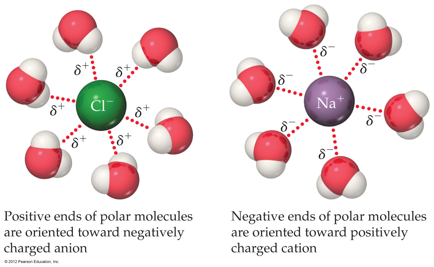 Hydration of Ions